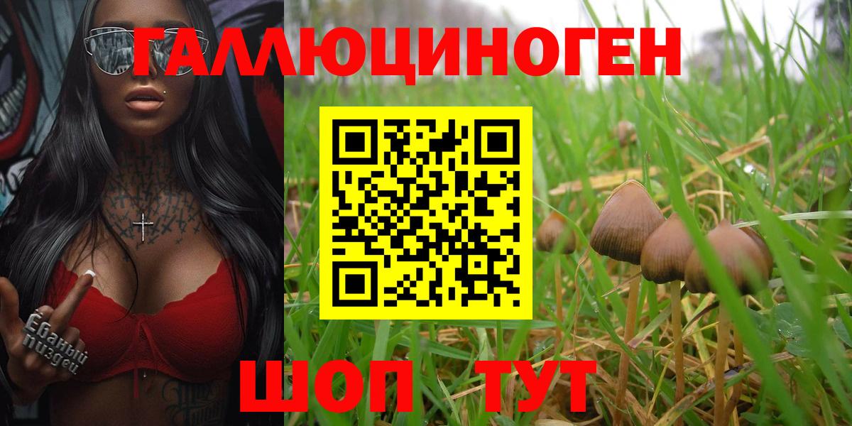 Кропоткин  Галлюциногенные грибы MAGIC MUSHROOMS  Галлюциногенные грибы GOLDEN TEACHER  Вход с VPN 